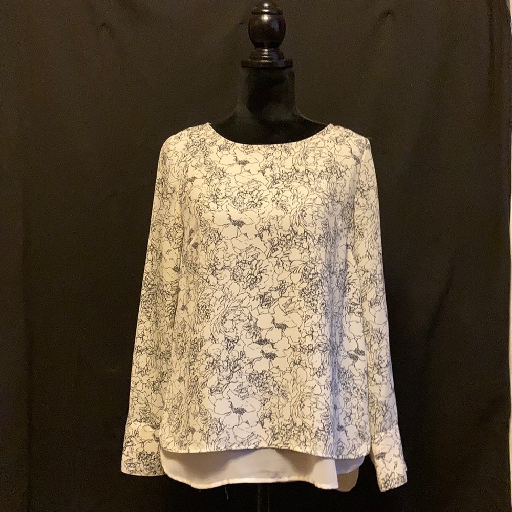 The Limited Blouse